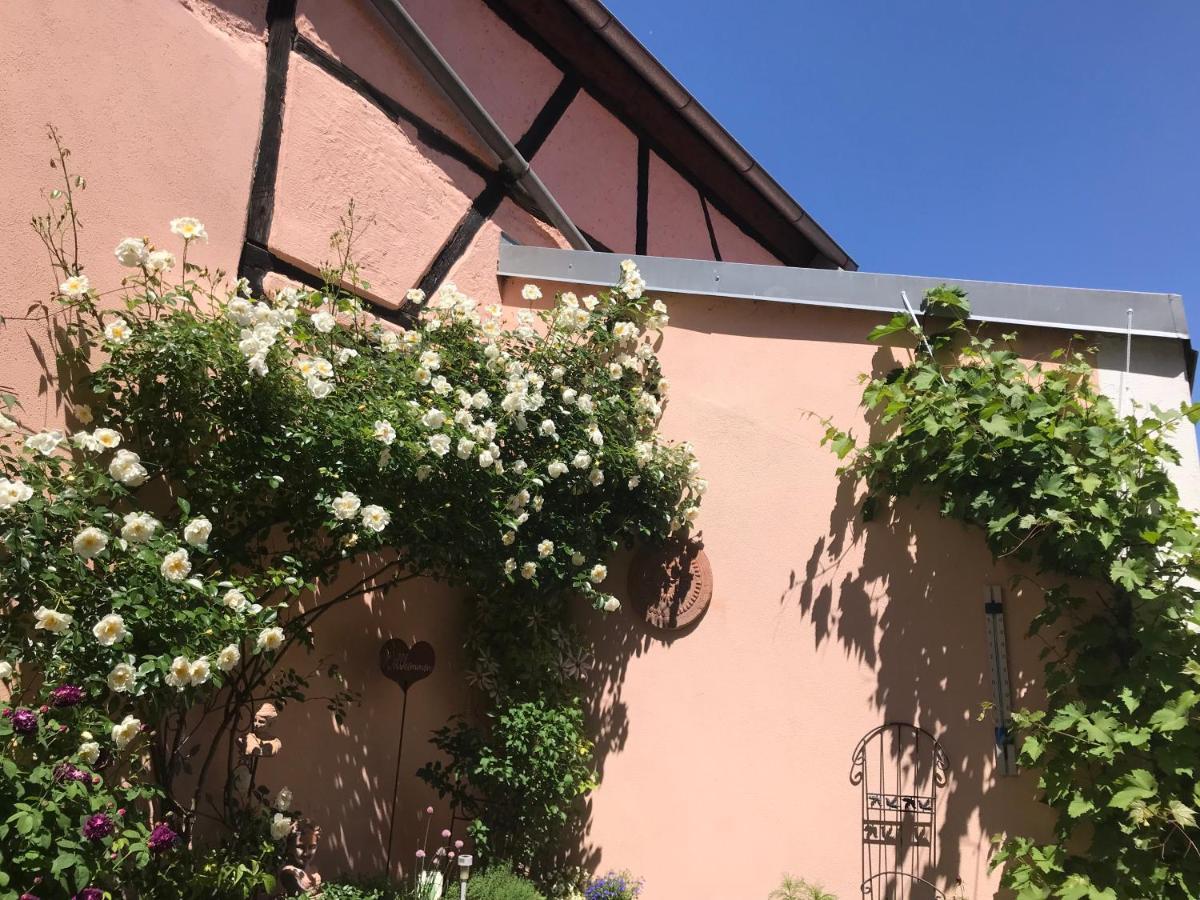 Haus Am Markt Konigstein in der Oberpfalz Екстер'єр фото